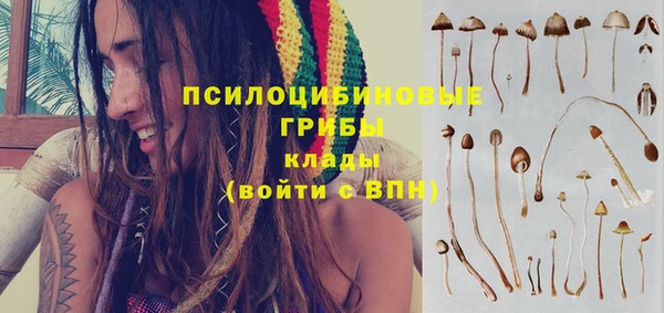 твердый Абинск
