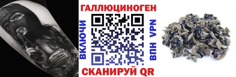Галлюциногенные грибы Magic Shrooms  Приволжский 